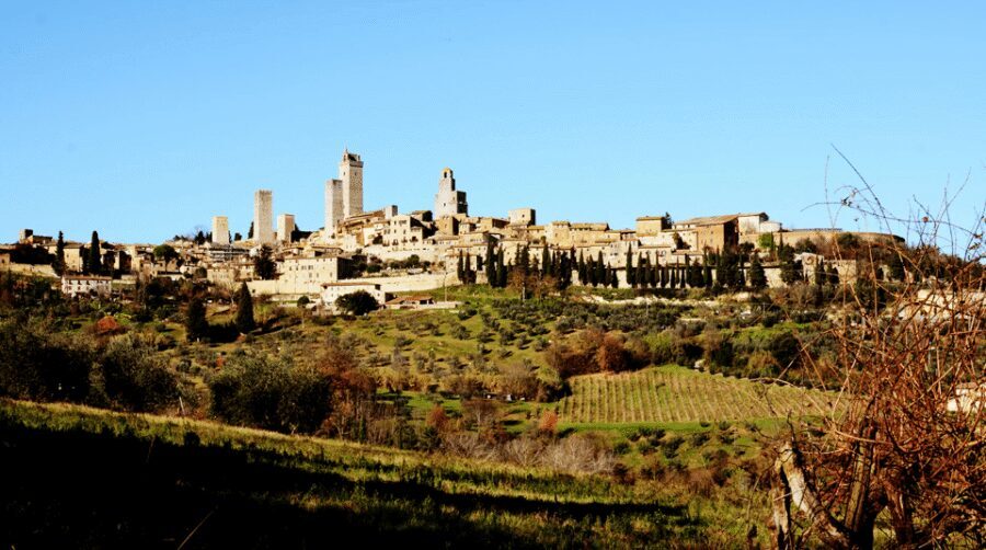 Tuscan Lunch & Winery Tour with Tasting in San Gimignano - San Gimignano Winery Lunch: what you really get in 2.5 hours
