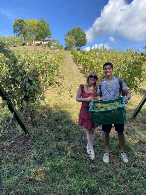 Tuscan Wine Tour by van from Lucca - Key points worth clocking before you book