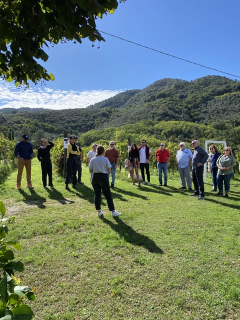 Tuscan Wine Tour by van from Lucca - Stop two: garden pairings, salami and pecorino, and a true Tuscan lunch feel