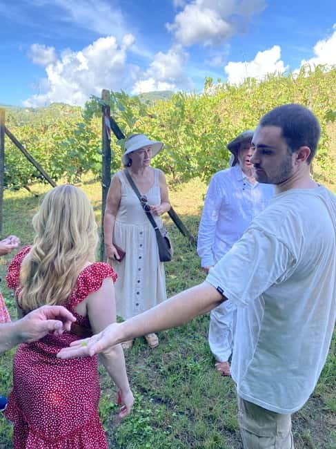 Tuscan Wine Tour by van from Pisa - Tastings in Lucca province: learning the two-winery logic