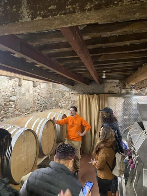 Tuscan Wine Tour by van from Pisa - Guides and service: the names people remember for a reason