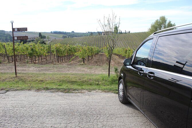 Tuscan Wine Tour in Pisa by van - Timing back to Lucca: plan with traffic in mind