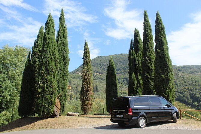 Tuscan Wine Tour in Pisa by van - Winery stop one: historical cellar walks and organic wine basics