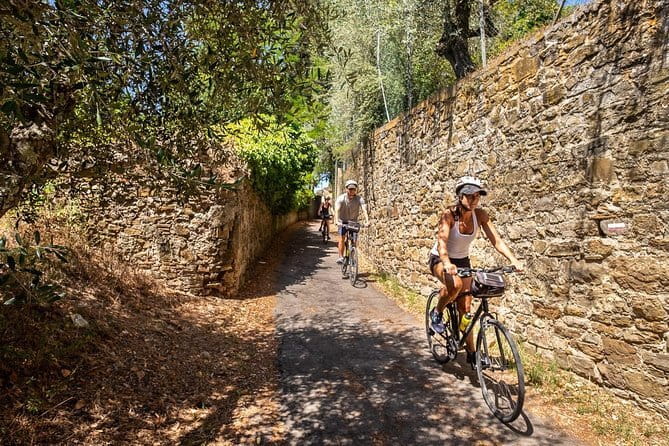 Tuscany Bike Tour with Wine, Oil and Food in the Florentine Hills - Rolling Through Olive Groves and Vineyards: Olive Oil Lessons on the Move