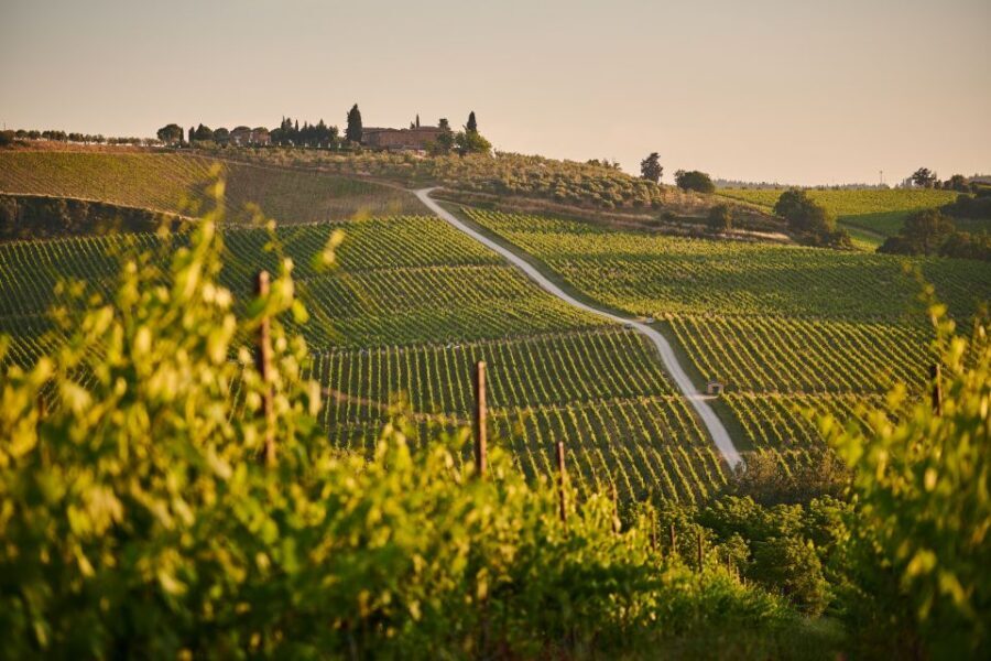 Tuscany: Chianti Wine Paradise Tour - Should You Book This Chianti Wine Paradise Tour?