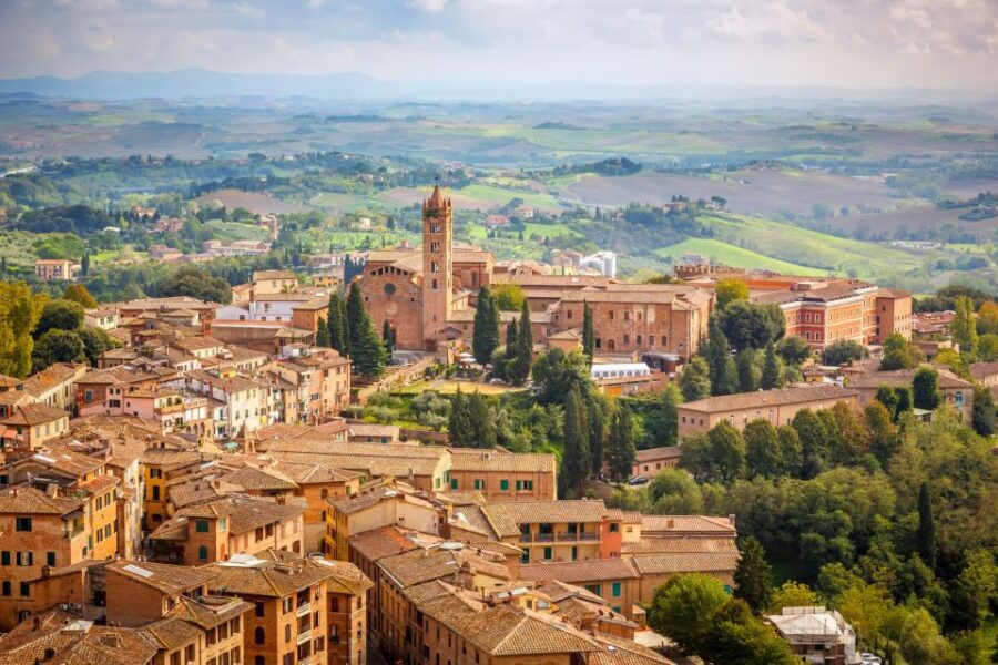 Tuscany: Chianti Wine Paradise Tour - What a Great Driver Adds (And When You Might Need a Plan B)