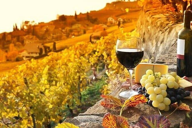 Tuscany Day Trip from Florence: Siena, San Gimignano, Pisa and Lunch at a Winery - The Hidden Theme: Freedom After Guidance