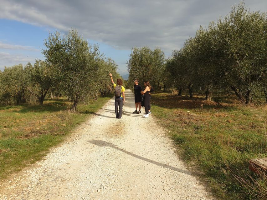 Tuscany Hills Bike Tour with Lunch at farm and Wine Tasting - Bikes, helmets, and the e-bike option that can save your day