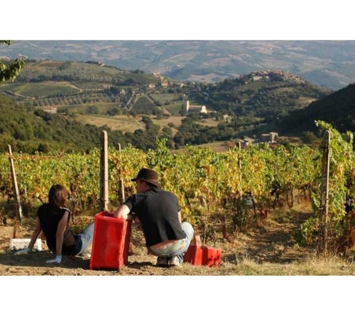 Tuscany: Montalcino Dinner at San Gimignano Winery - Vineyards and the Brunello di Montalcino connection you came for