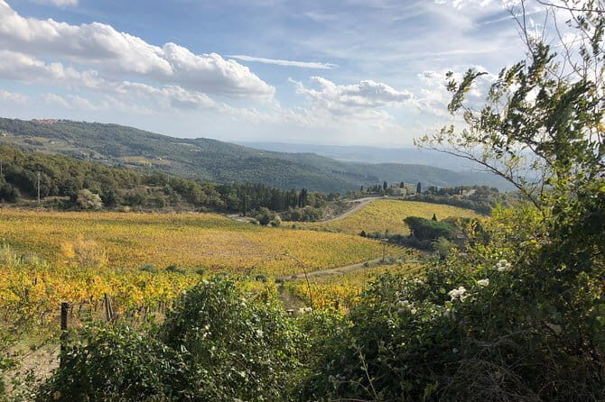 Tuscany off the beaten paths - Why this Tuscany day from Florence feels like a smart shortcut