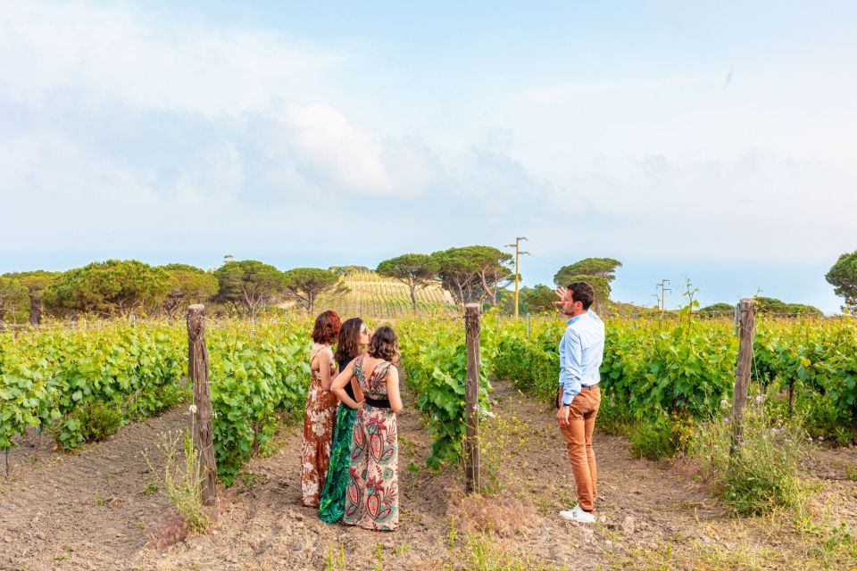 Tuscany: Ripalte Design Winery Wine and Cheese Tasting Tour - Key Things To Know Before You Go