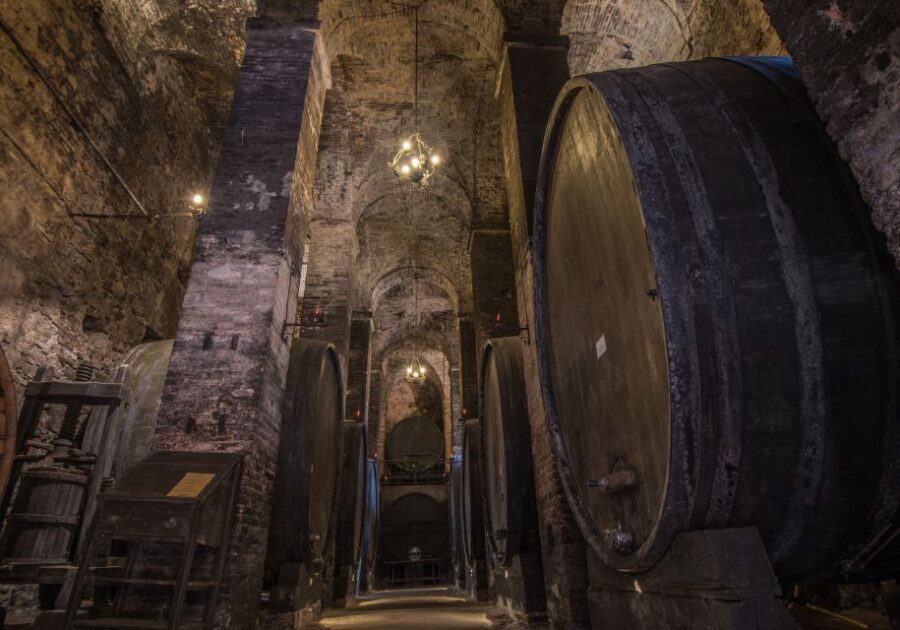 Tuscany: Self-Guided Video Tour with World's Top Experts - Key things you’ll like about this AppyGuide Tuscany tour