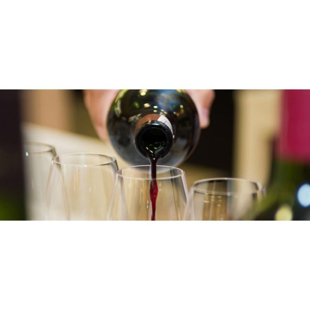 Tuscany: Truffle Hunting and Meal at a Winery - The Hunter and Truffle Dog Spirlo: Watching It Work