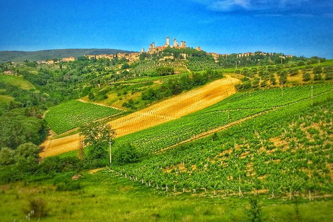 Tuscany Vespa Tour from Florence with Wine Tasting - What about the guides and the small-group energy?