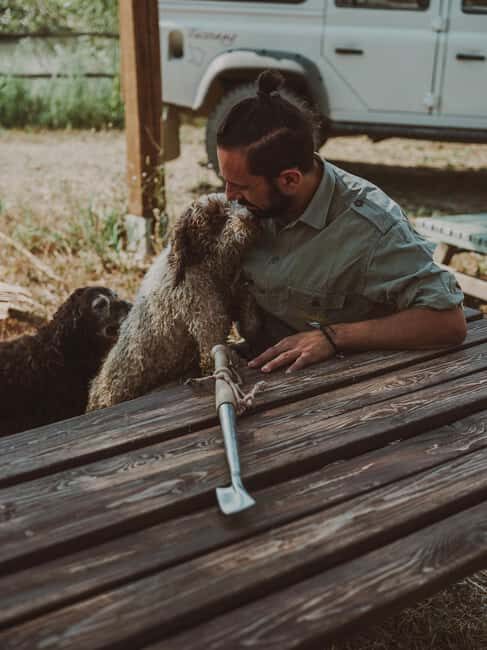 Tuscany: Volterra Truffle Hunting Experience - Volterra Truffle Hunting: What This 2 Hours Really Includes