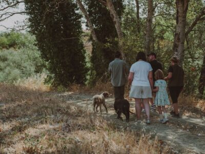 Tuscany: Volterra Truffle Hunting with Lunch or Dinner - How the Truffle Hunt Works in the Organic Agriturismo Diacceroni Woods