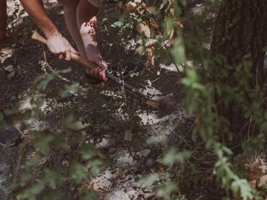 Tuscany: Volterra Truffle Hunting with Lunch or Dinner - La Cantina Lunch or Dinner: Eating What You Find