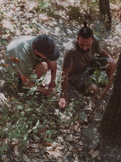 Tuscany: Volterra Truffle Hunting with Lunch or Dinner - Price and Value: Is $215.24 per Person Fair?