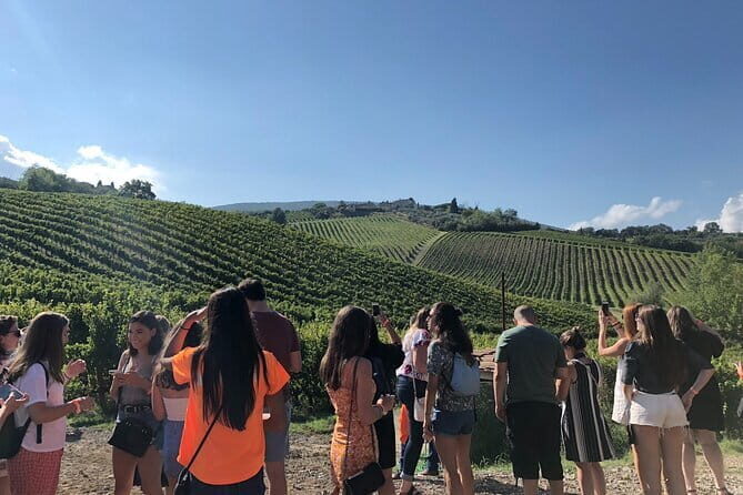Tuscany Wine Tastings with Panoramic View - Florence to Chianti - Price and value: what you’re really paying for at $69.14