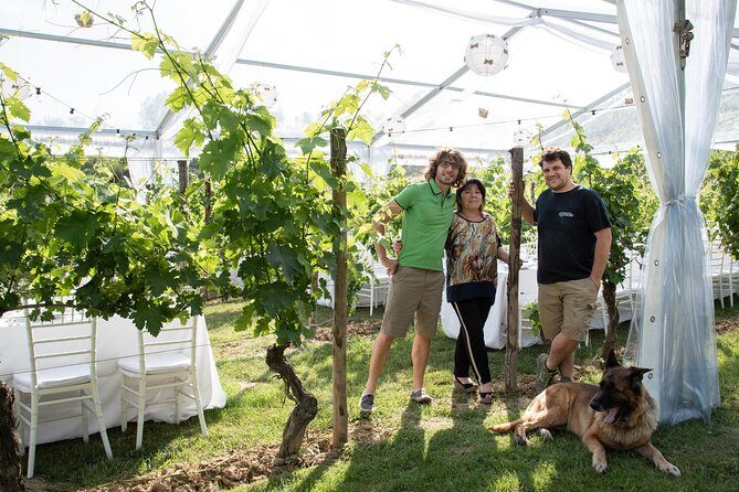 Tuscany Wine Tours in a family winery Podere Pellicciano - Key highlights at Podere Pellicciano Agrisole