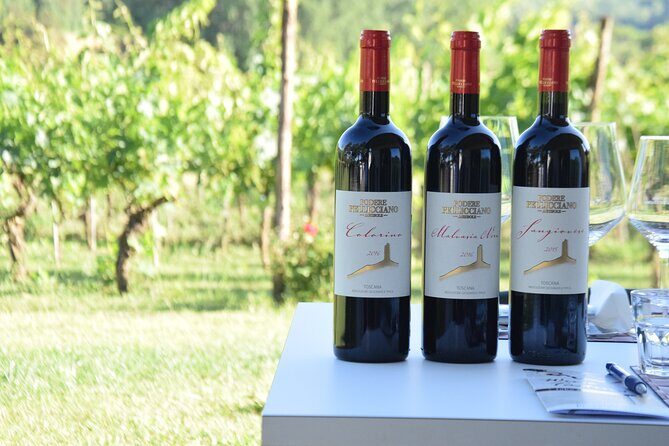 Tuscany Wine Tours in a family winery Podere Pellicciano - A family-winery feel near Lucca (and why that matters)