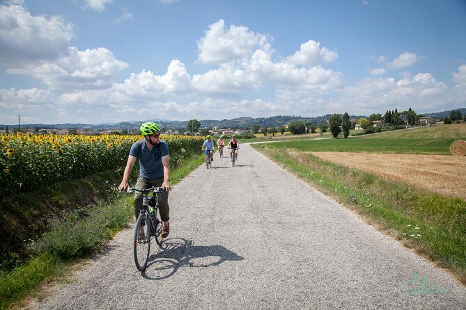 Umbria E-Bike & Wine Tour through Vineyards and Olive Groves - Quick hits at a glance