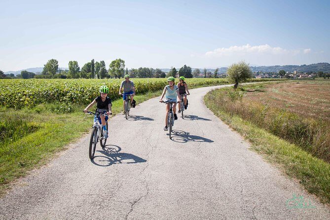 Umbria E-Bike & Wine Tour through Vineyards and Olive Groves - Cantina LA FONTE: guided tasting and home-made lunch
