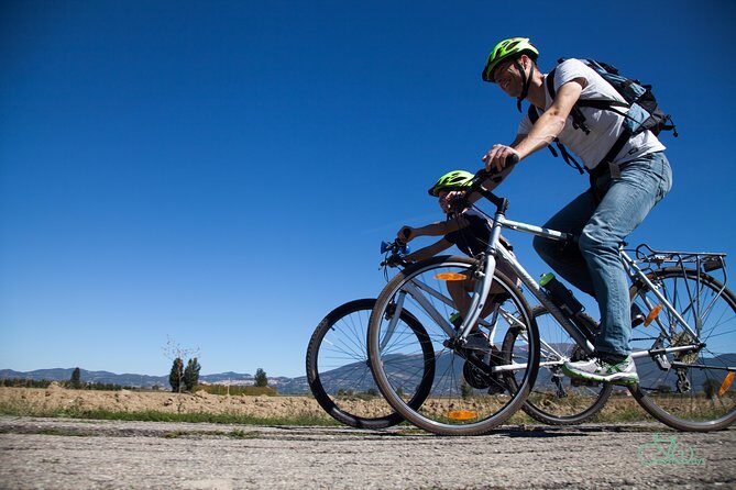 Umbria E-Bike & Wine Tour through Vineyards and Olive Groves - How the e-bike changes the effort (and the enjoyment)