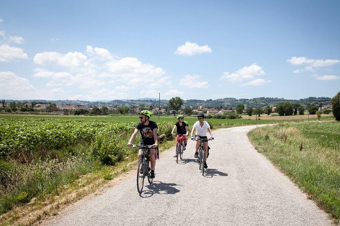 Umbria E-Bike & Wine Tour through Vineyards and Olive Groves - Price and value: what you’re paying for at $205.16 per person