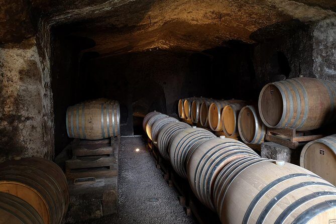 Unique EnoBike experience with tasting in 2 excellent wineries - What stands out in this OrvietoBikeTour