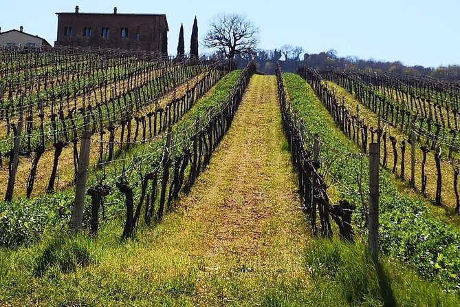 Unique EnoBike experience with tasting in 2 excellent wineries - The Orvieto country day plan: timing and flow that works
