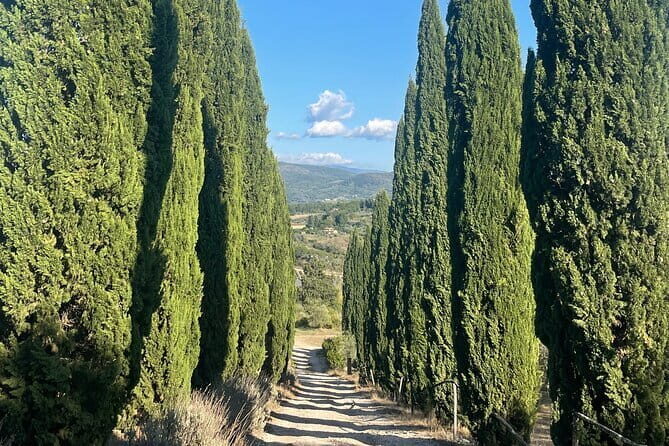 Vegetarian cooking class in the Florentine Hills 6 guests max - Tuscan Hills near Florence: where the day actually starts
