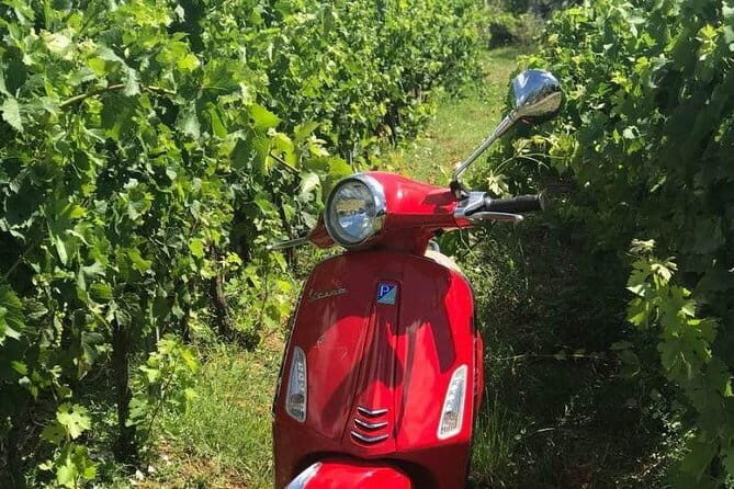 Vespa Motorcycle rental in Florence - Picking Up at Florence Station Area: Via Ventisette Aprile 39/r
