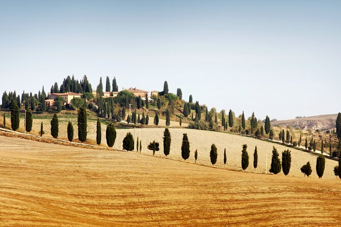 Vespa Tour with Lunch&Chianti Winery from Siena - Key highlights worth planning around