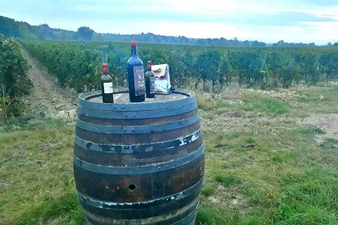 Vespa Tour with Lunch&Chianti Winery from Siena - Casale dello Sparviero Winery: what the tasting and lunch really add