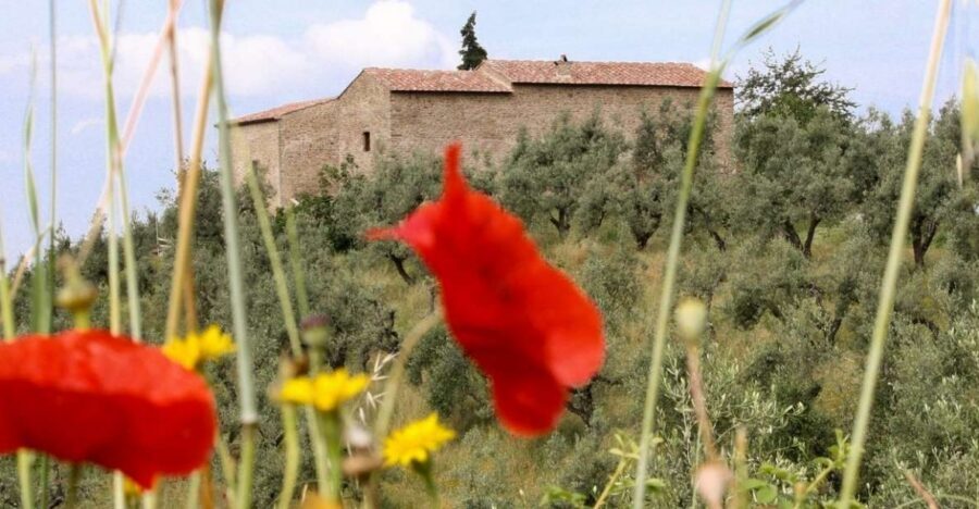 Vinci: Entrance to the Leonardo's Birthplace - The 3D audio-video narration: Leonardo in Vinci