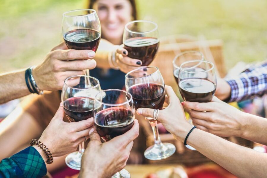 Vinci: The Footsteps of Leonardo and Wine Tasting Tour - Key points to know before you go