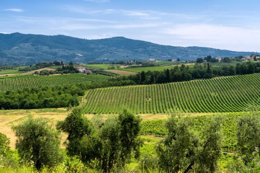 Vinci: The Footsteps of Leonardo and Wine Tasting Tour - The Leonardo countryside: viewpoints and breathing room