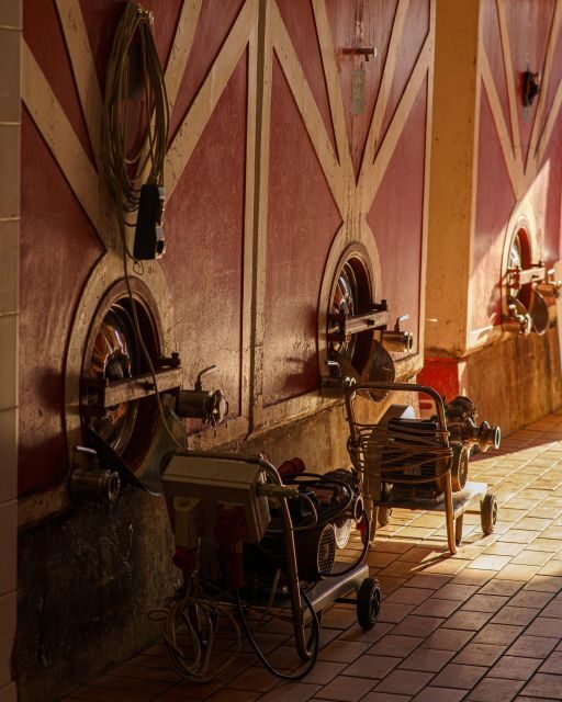 Vinci: wine-experience among the Tuscan hills - The Wine Shop Tasting: 3 Wines, a Sommelier, and Real Pairing