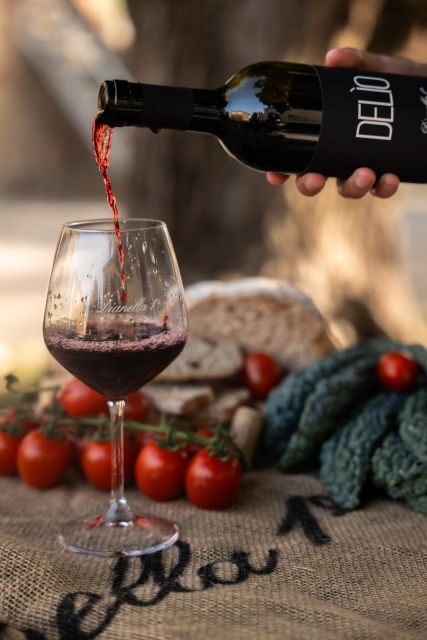 Vinci: wine-experience among the Tuscan hills - Getting There: Meeting Point and the Parking Trick