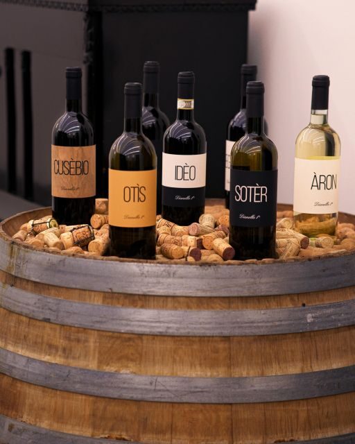 Vinci: wine-experience among the Tuscan hills - Should You Book the Vinci Wine Experience at Fattoria Dianella 1?