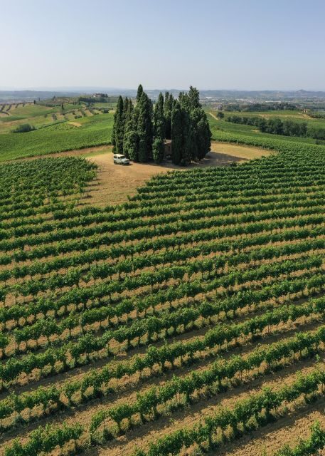 Vinci: wine-experience among the Tuscan hills - How the Cellar Visit Makes Wine Feel Step-by-Step