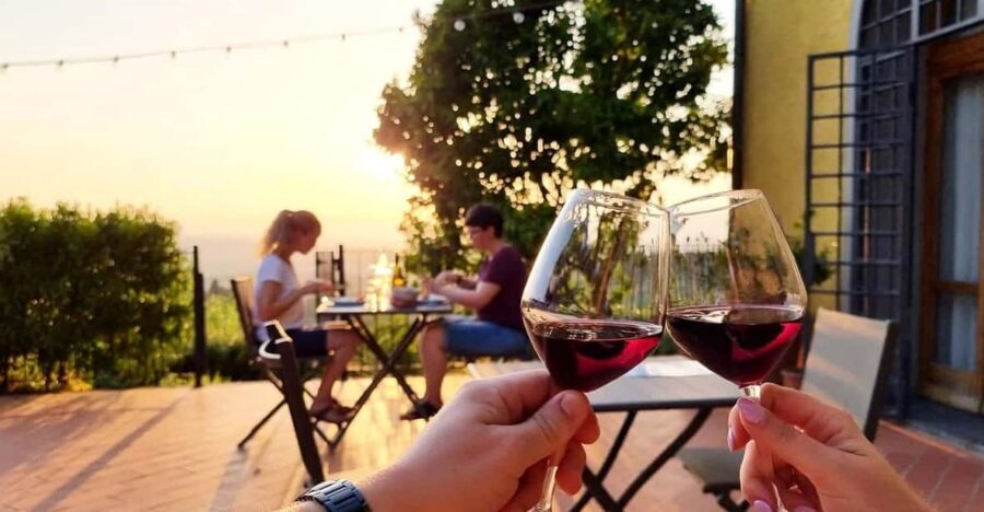 Vinci: Wine Tasting & Local Tuscan Food Dinner - Three-wine tasting with the organic farm owners