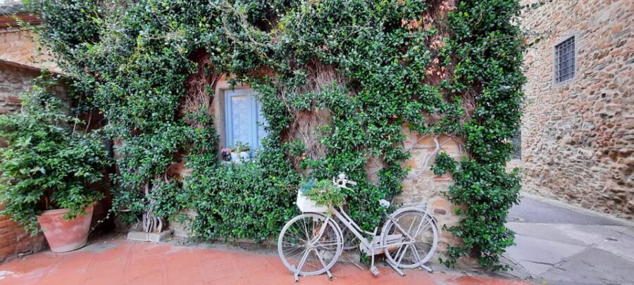 Vinci:Discovering Leonardo's Origins & Aperitif in Vineyards - Vinci feels like Leonardo’s home ground