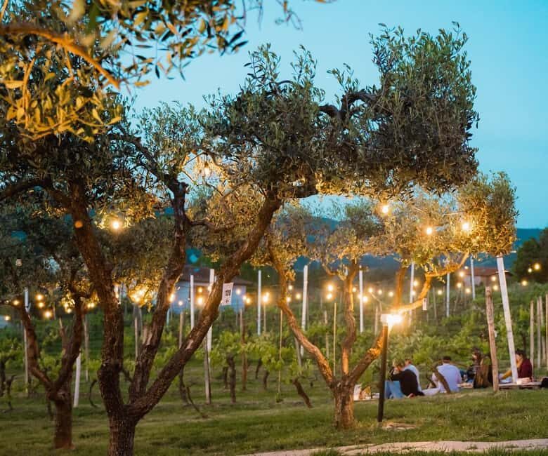 Vinci:Discovering Leonardo's Origins & Aperitif in Vineyards - Lunch in winter vs vineyard aperitif in summer