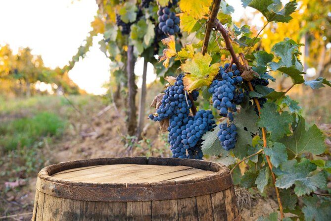 Vintage Fiat 500 Tour from Siena: Tuscan Hills and Winery Lunch - Rain plans: how weather affects the day