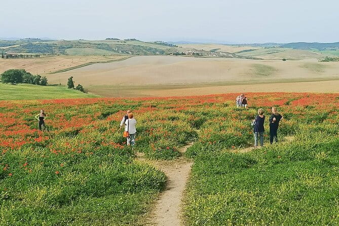 VIP Brunello Montalcino, Montepulciano & Val d'Orcia with Lunch - Val d’Orcia UNESCO panoramas and the Gladiator photo moment