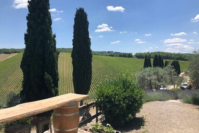 Visit Of The Chianti Classico And The Tuscan Countryside - Key highlights at a glance