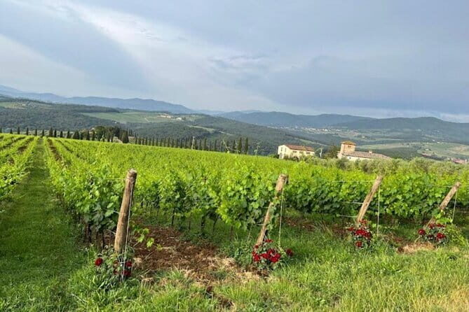 Visit Of The Chianti Classico And The Tuscan Countryside - A smart optional opener in San Casciano in Val di Pesa