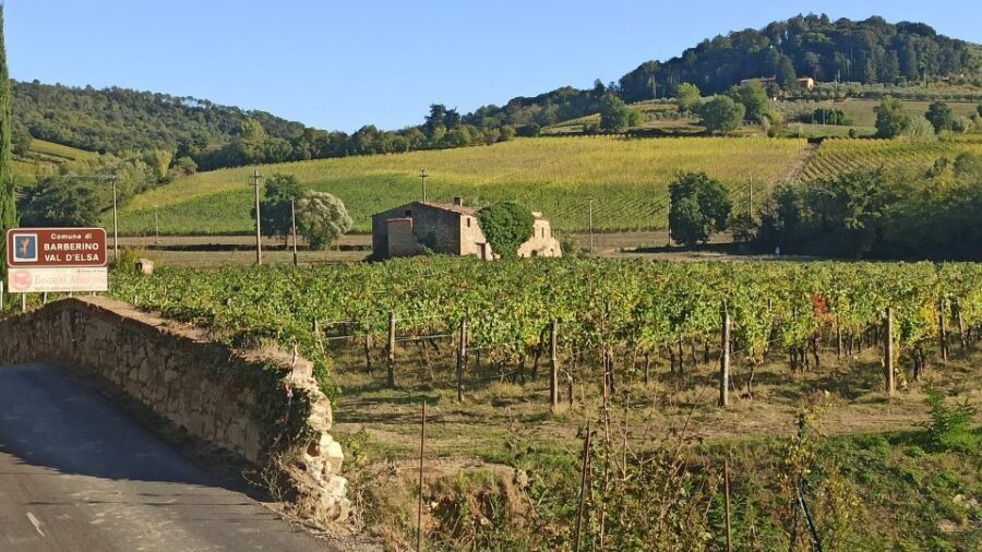 Visit Siena and San Gimignano with lunch at a family farm - Who this Siena and San Gimignano tour is best for